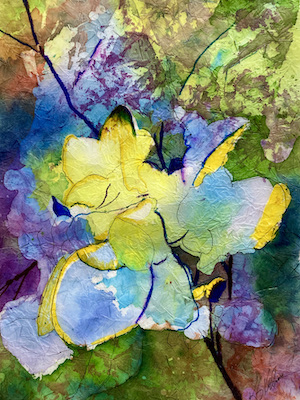 Hydrangea by Sue Kelman