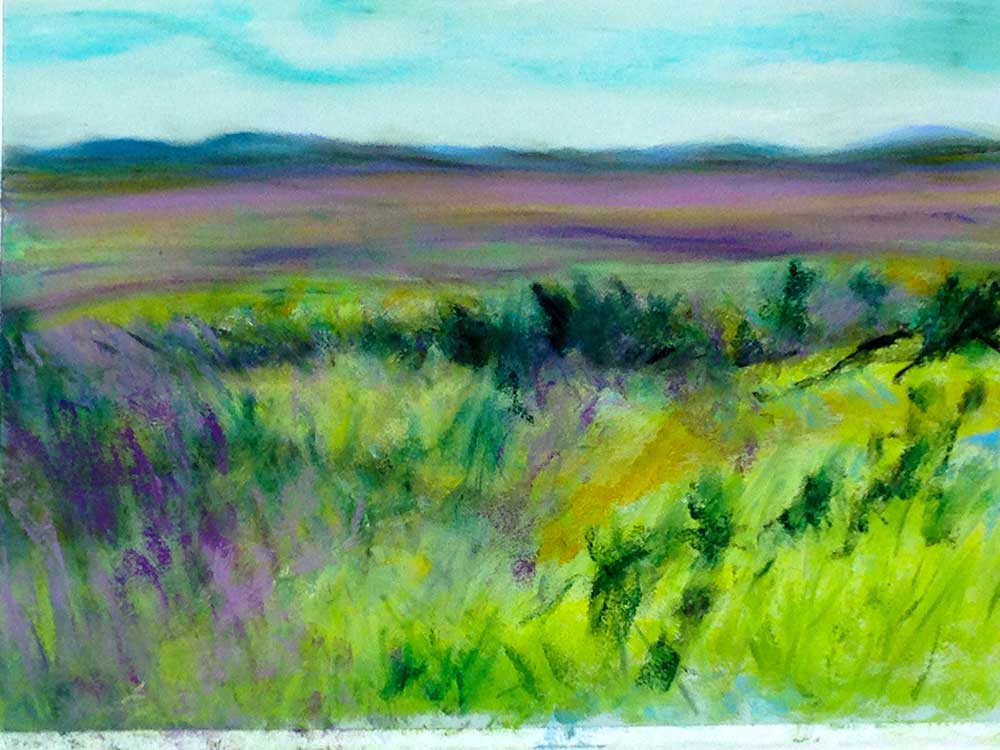 Purple Prairie