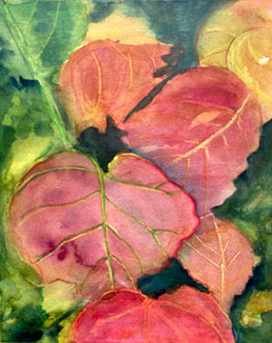Sea Grape by Sue Kelman