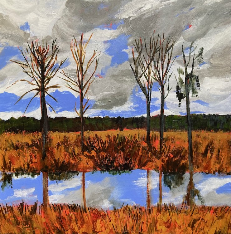 Sweetwater Reflections